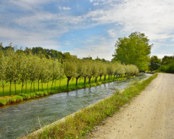 Canale Caluso