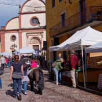 Mostra Mercato Biodiversità San Giorgio 2019