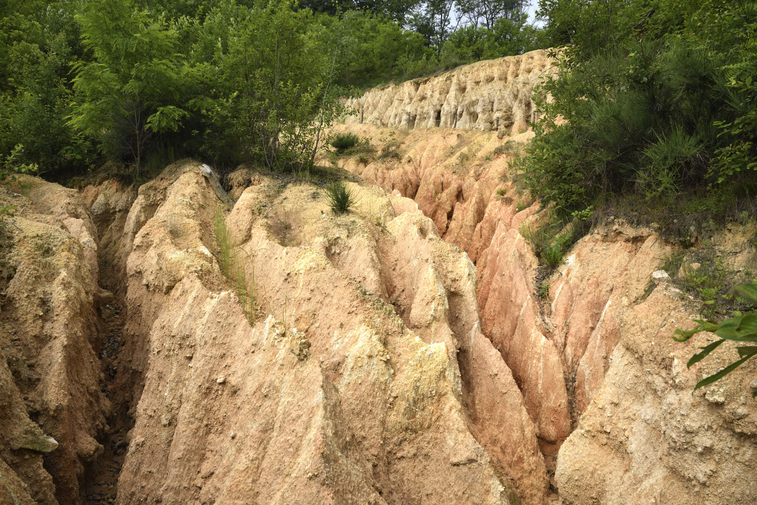 Castelletti di San Anna Boschi