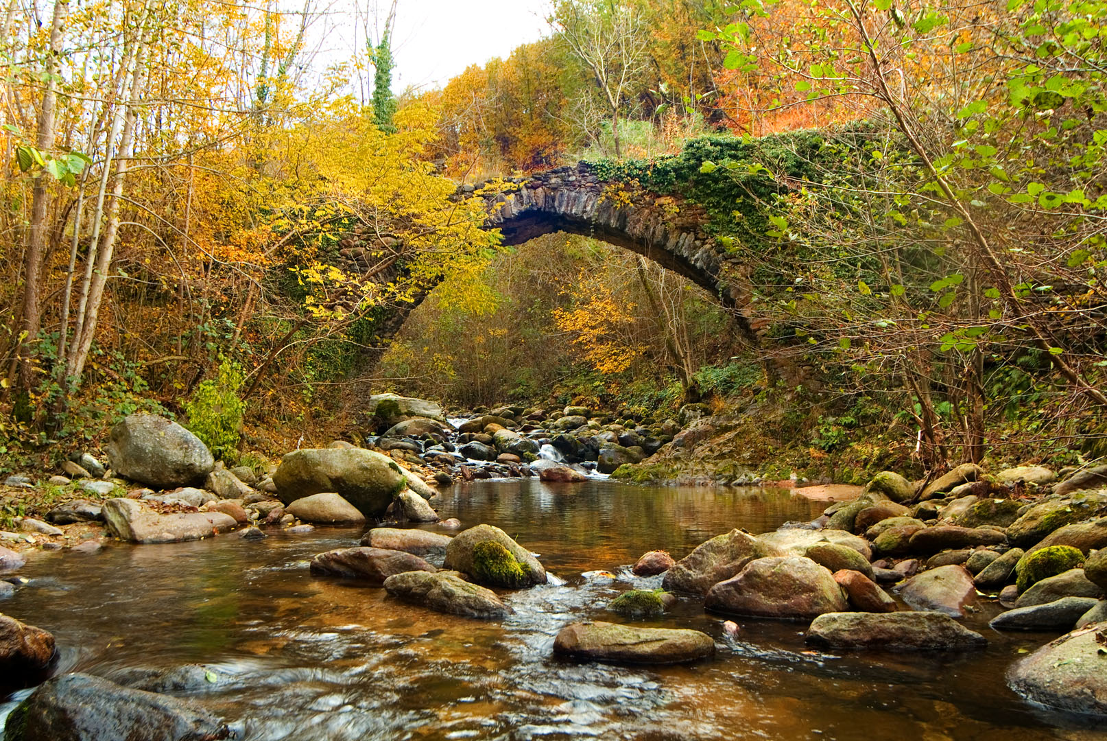 Ponte S_Anna sul Piova