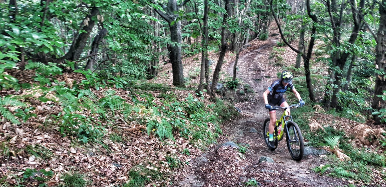 MTB nei boschi di San Giovanni