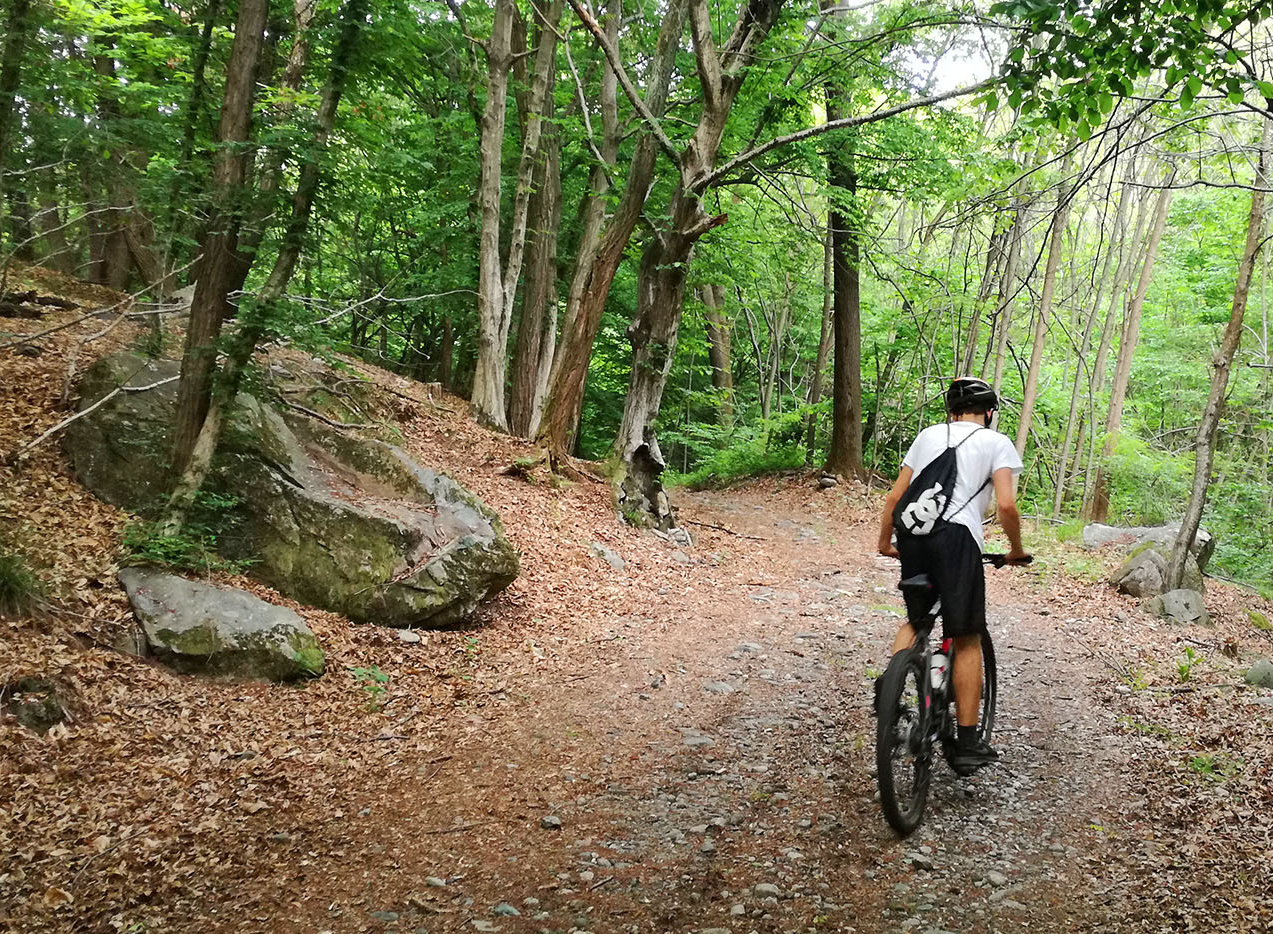 In mountain bike nei boschi canavesani